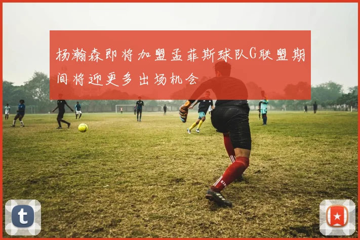 杨瀚森即将加盟孟菲斯球队G联盟期间将迎更多出场机会