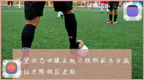 汉堡状态回暖五轮不败斩获九分成功拉开降级区差距